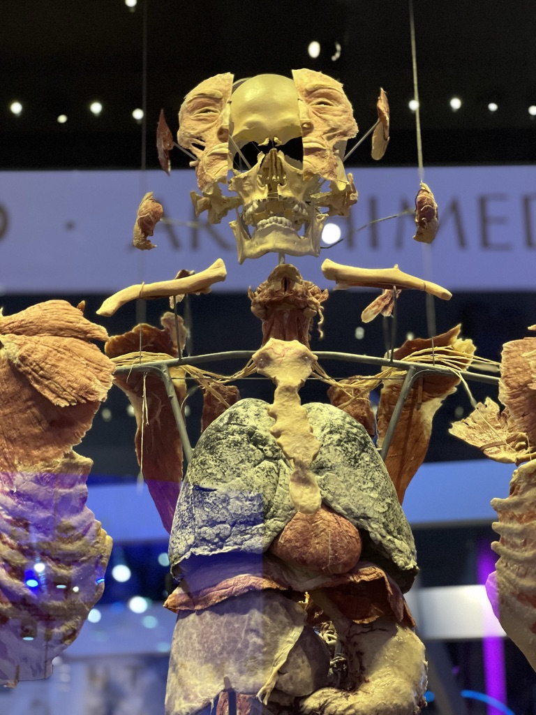 08503108 18de 4fce 8ed4 f89cb7696b0e 1 105 c